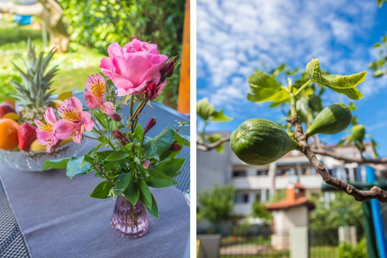 Motovunska 39a Apartmán *